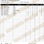 Microsoft Word – ScoreCards_Definitivo.docx