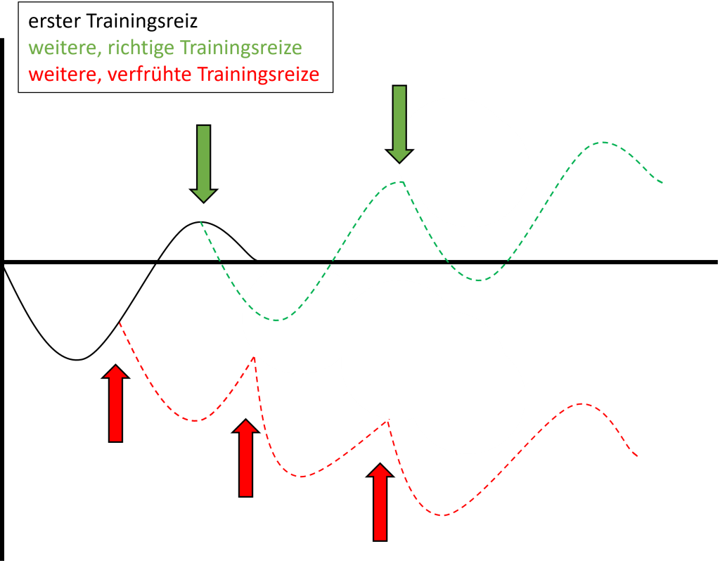 Prinzip Des Trainingswirksamen Reizes Der beste Trainingssplit: Wie du dein Training optimal aufteilst - REP ONE