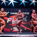 flex-pro-2025