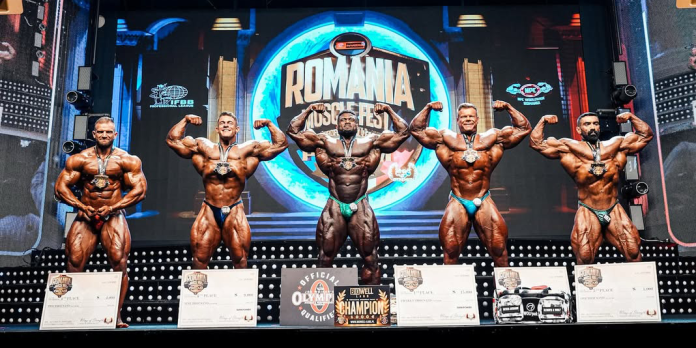 ergebnisse-romania-muscle-fest-pro-2025
