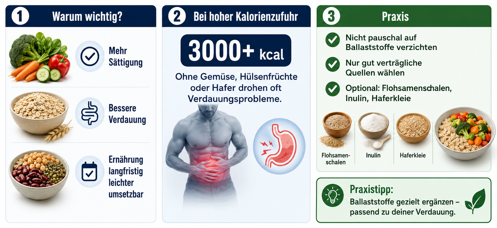 Übersicht Key-Facts Ballaststoffe Bodybuilding-Ernährung