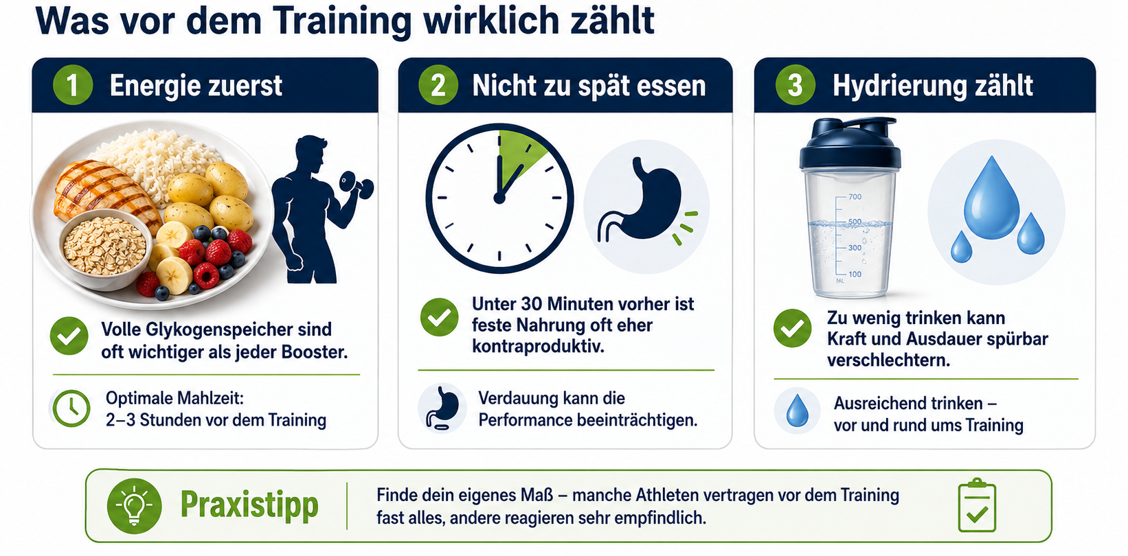 Übersicht Key-Facts Pre Workout Nutrition Bodybuilding-Ernährung