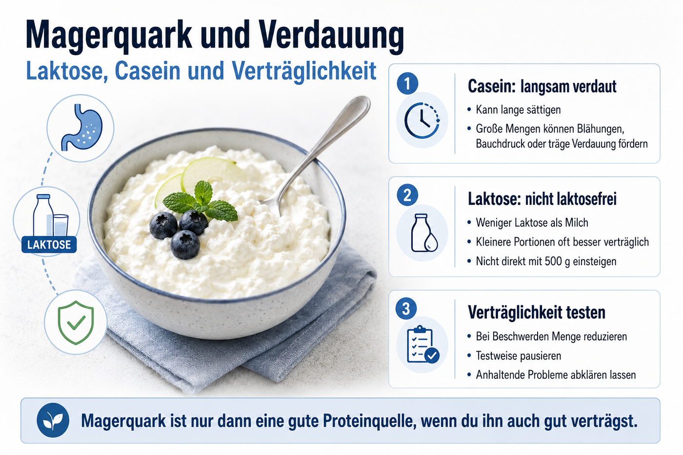Magerquark und Verdauung